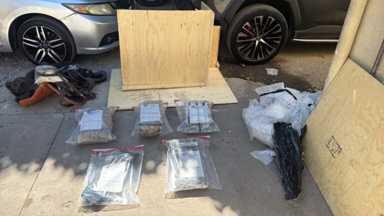 DNCD encuentra 13 paquetes de presunta marihuana ocultos en envíos del AILA