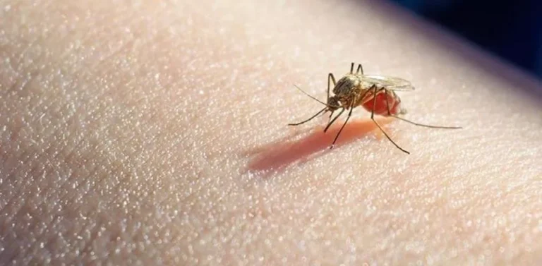 Malaria cae 82 % en RD y dengue se mantiene dentro de niveles esperados